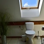 Beskid House Loftowy Blisko Gor Sauna&balia Platna By Reapartments Bielsko-Biala