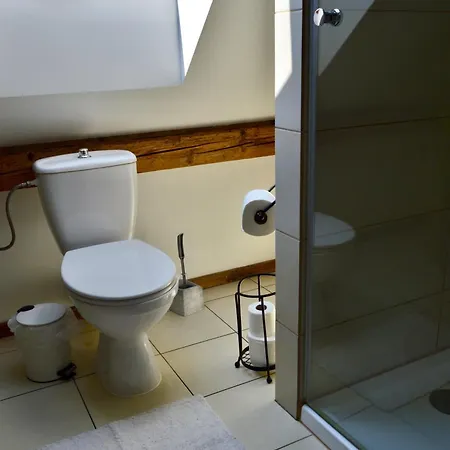 Appartement Beskid House Loftowy Blisko Gor Sauna&balia Platna By Reapartments Bielsko-Biała