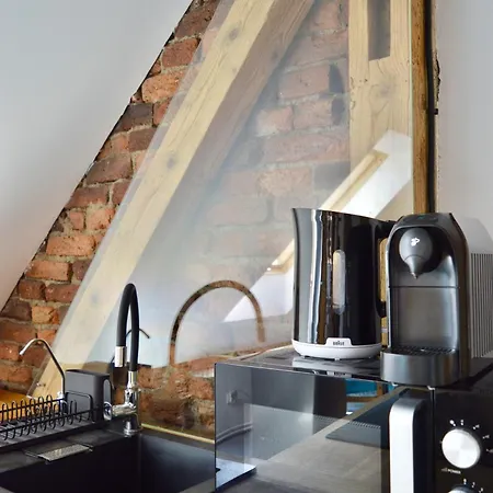 Appartement Beskid House Loftowy Blisko Gor Sauna&balia Platna By Reapartments Bielsko-Biała