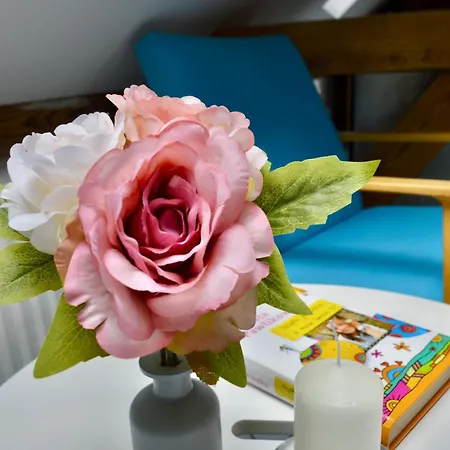 Beskid House Loftowy Blisko Gor Sauna&balia Platna By Reapartments *