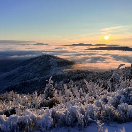 Apartment Beskid House Loftowy Blisko Gor Sauna&balia Platna By Reapartments Bielsko-Biala