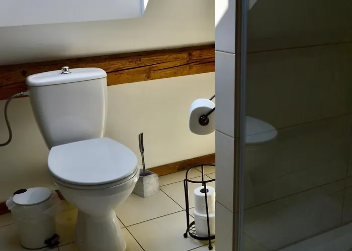 Διαμέρισμα Beskid House Loftowy Blisko Gor Sauna&balia Platna By Reapartments Μπιέλσκο-Μπιάλα