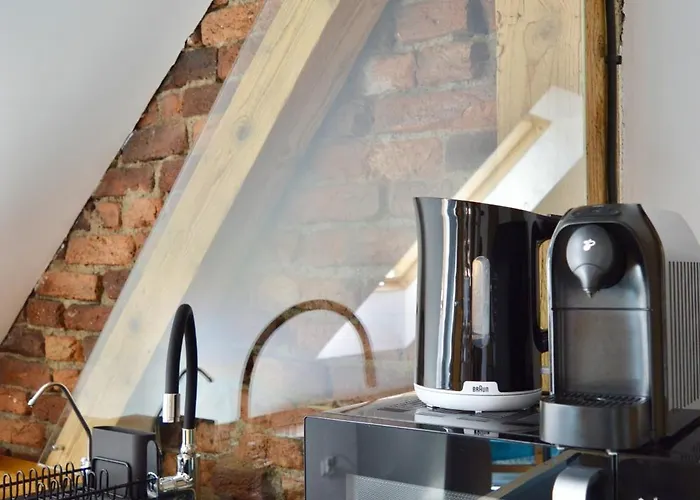 Apartment Beskid House Loftowy Blisko Gor Sauna&balia Platna By Reapartments Bielsko-Biala