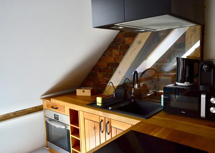 Beskid House Loftowy Blisko Gor Sauna&balia Platna By Reapartments Διαμέρισμα Μπιέλσκο-Μπιάλα