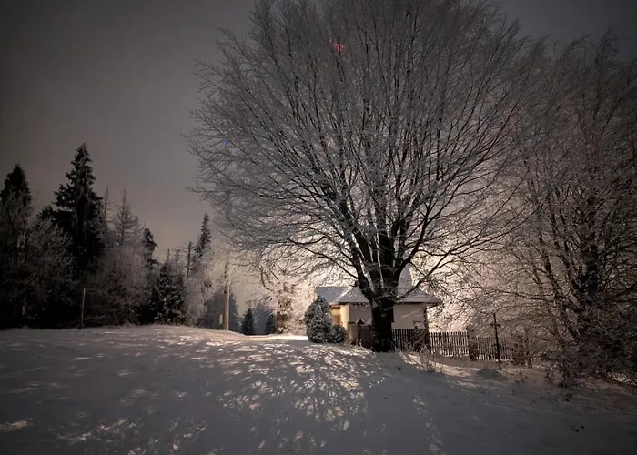 Beskid House Loftowy Blisko Gor Sauna&balia Platna By Reapartments *