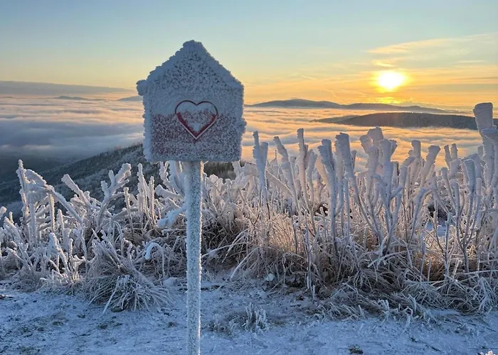 Beskid House Loftowy Blisko Gor Sauna&balia Platna By Reapartments