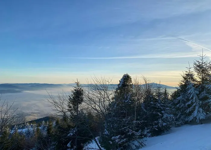 Beskid House Loftowy Blisko Gor Sauna&balia Platna By Reapartments Apartment *