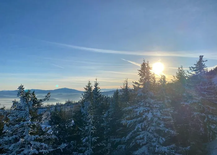 Διαμέρισμα Beskid House Loftowy Blisko Gor Sauna&balia Platna By Reapartments Μπιέλσκο-Μπιάλα