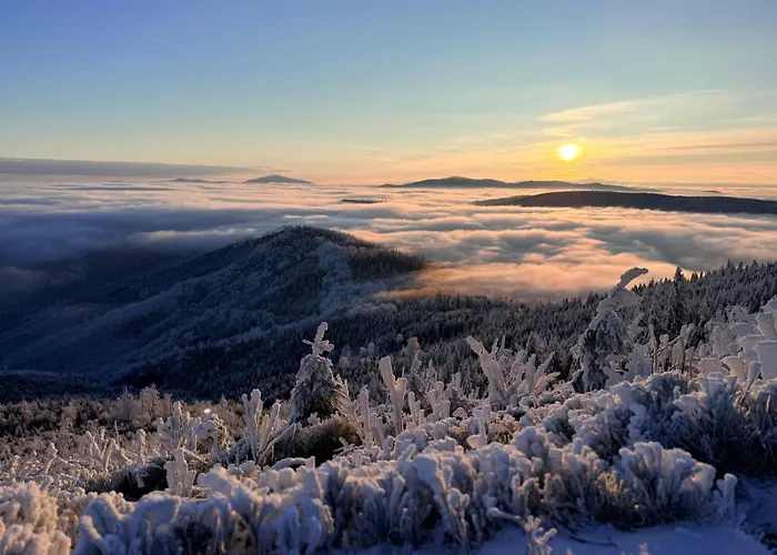 Διαμέρισμα Beskid House Loftowy Blisko Gor Sauna&balia Platna By Reapartments Μπιέλσκο-Μπιάλα