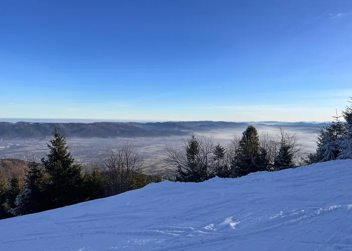 Apartment Beskid House Loftowy Blisko Gor Sauna&balia Platna By Reapartments